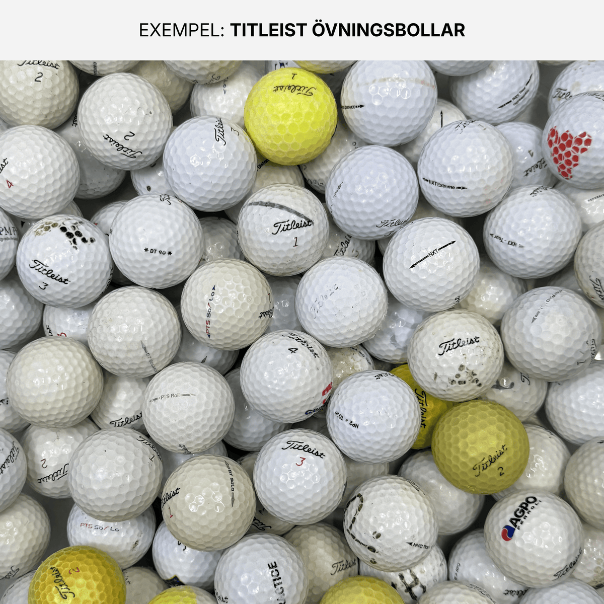 Titleist Övningsbollar 50-Pack