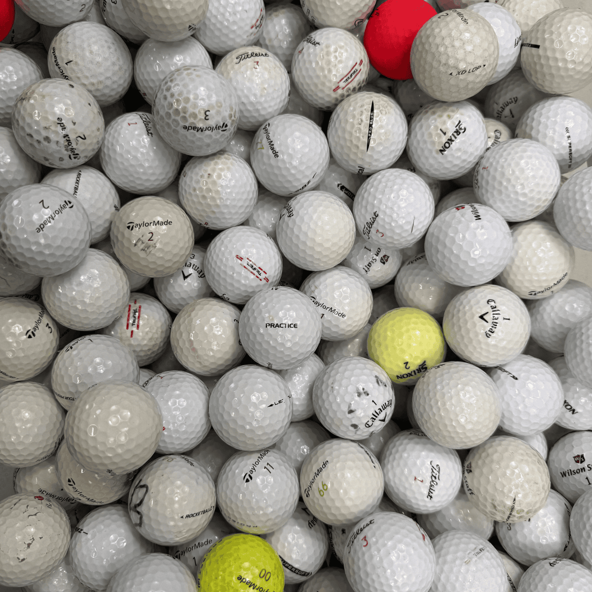 Wilson Staff Professional  Övningsbollar 50-Pack
