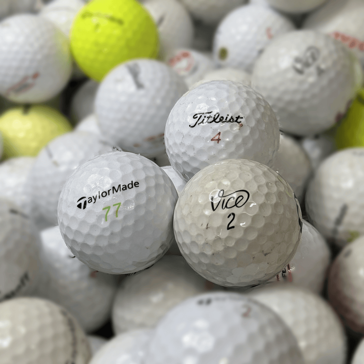 Wilson Staff Professional  Övningsbollar 50-Pack