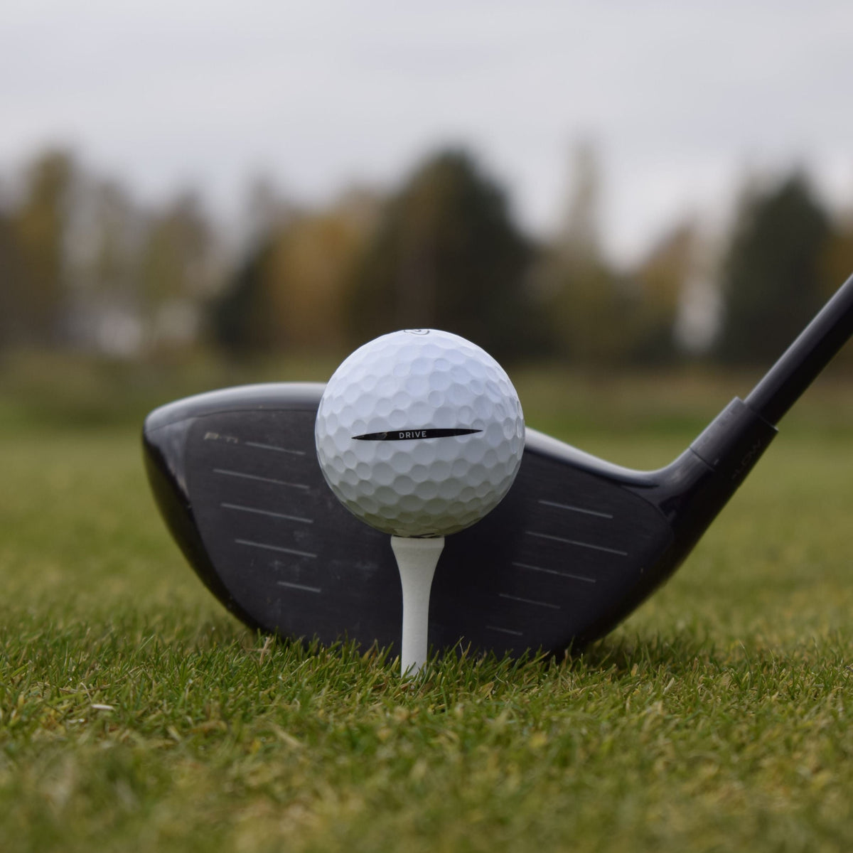 Närbild på en Vice Drive golfboll som ligger upp peggad framför en driver.