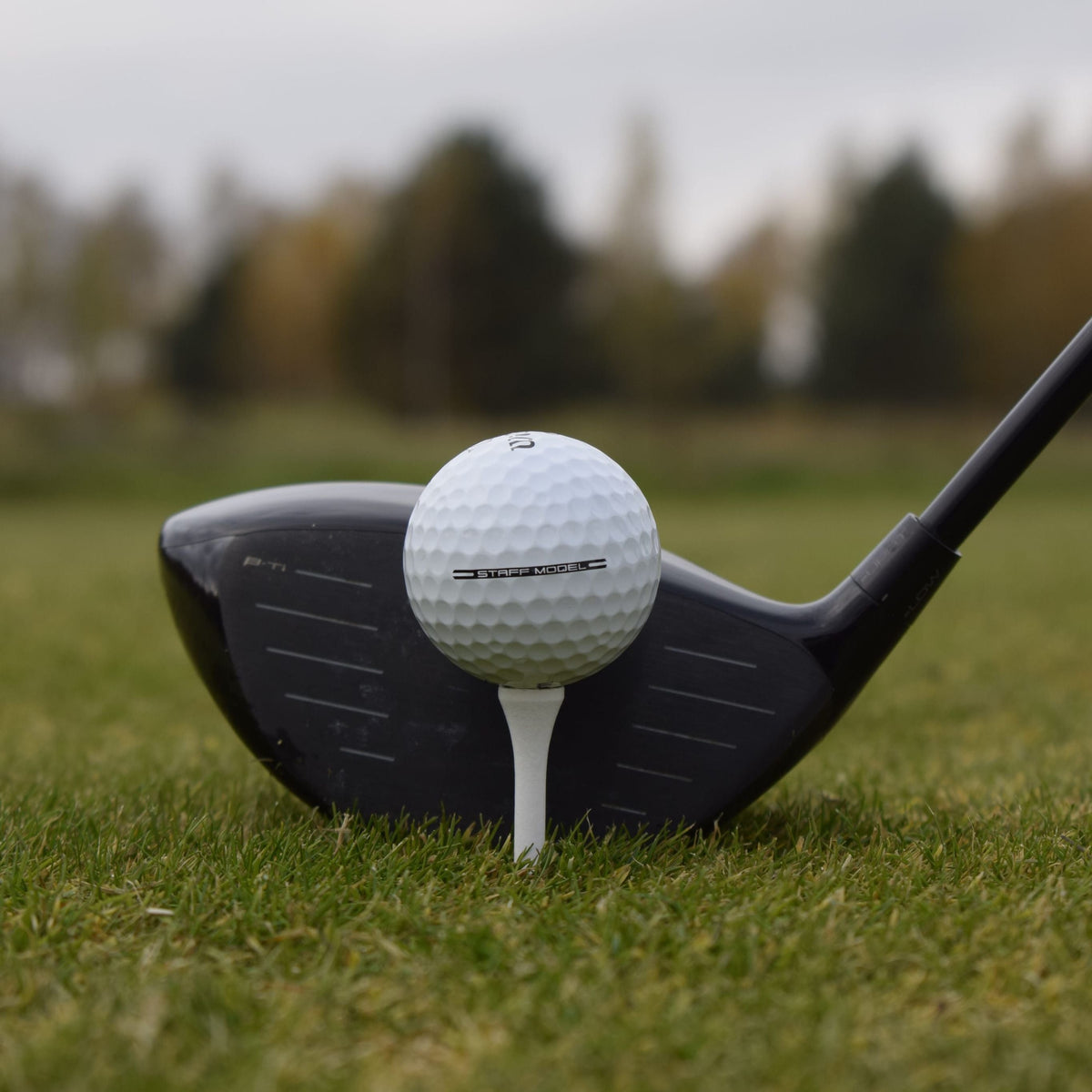Närbild på en Wilson Staff Model golfboll som ligger upp peggad framför en driver.