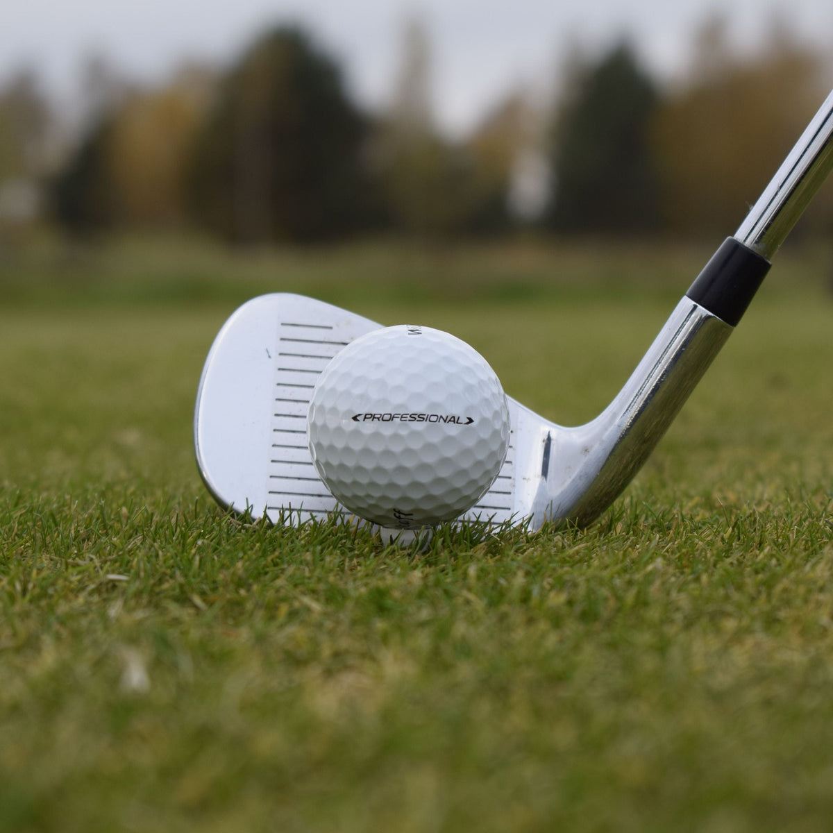 En närbild på Wilson Staff Professional golfboll som ligger lite upp peggad framför en golfklubba.